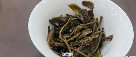 探索普洱茶的健益处：伤胃还是养胃？