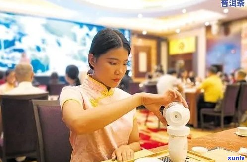 柳州高端茶叶全方位指南：品种、品质、泡法与品鉴，助您成为茶叶专家