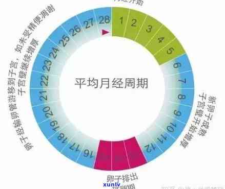 普洱茶对月经周期的影响：事实与科学解析