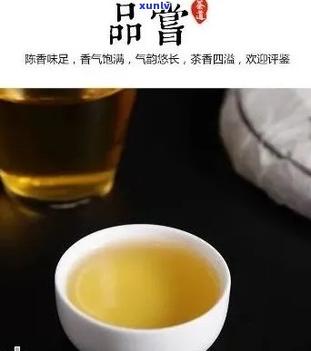 启英与普洱茶：一不解之缘及其影响