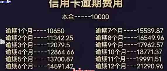 2021年信用卡逾期处理全攻略：如何避免罚息、期费用和信用记录受损？