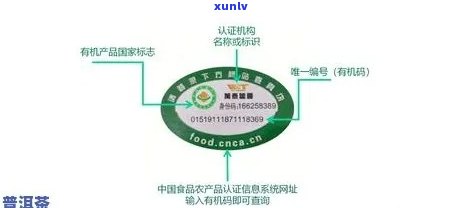 普洱茶生产厂家编号：了解生产来源与品质保障的关键信息