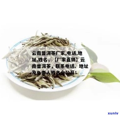 云南普洱茶生产厂家名录查询，获取详细编号信息