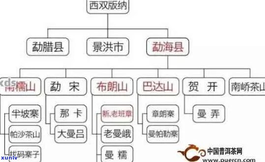 普洱茶生产厂家编号：了解生产来源与品质保障的关键信息