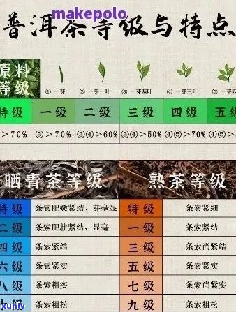 普洱茶厂家编号1-9的意义解析：揭示行业内部的秘密。