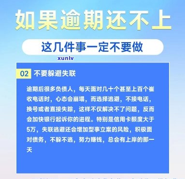 网贷信用卡都有逾期