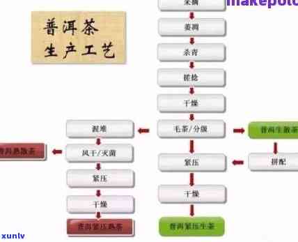 普洱茶加工厂投资详情及厂家位置，了解加工流程。