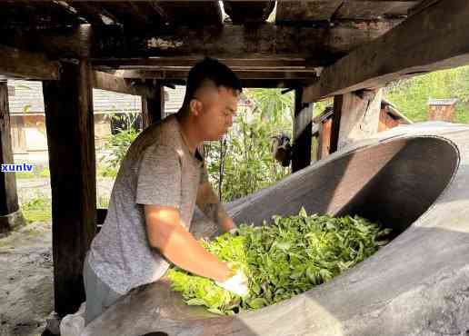 丁家寨茶农：探索世界茶文化之旅，品味茶叶的魅力与 *** 工艺