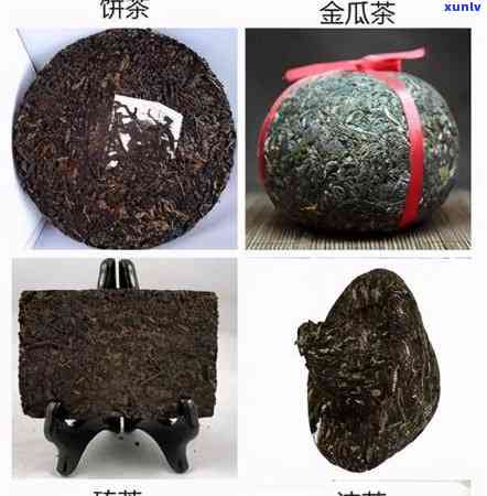 原生态普洱茶品质对比：哪种更胜一筹？