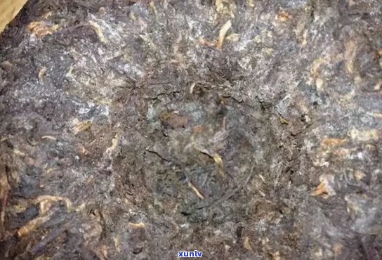 普洱茶保存得当不发霉，是否可以直接饮用？如何确保普洱茶不发霉？