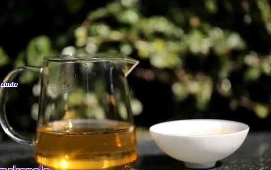 普洱茶：选择清还是浓茶的品味之道