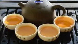 普洱茶煮茶与泡茶作用区别：哪个更好？