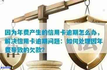 信用卡年费逾期申诉攻略：如何有效解决逾期问题，降低信用损失？