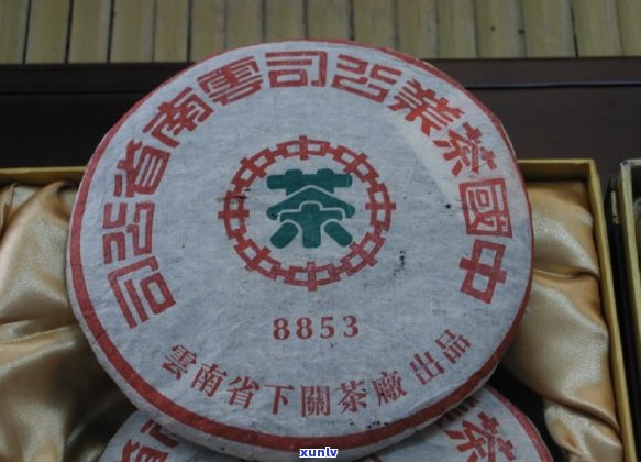 普洱茶茶号8853:一款独特的茶叶品种及其 *** 工艺详解与品鉴指南