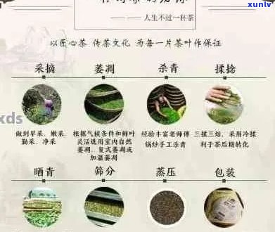 普洱茶茶号8853:一款独特的茶叶品种及其 *** 工艺详解与品鉴指南