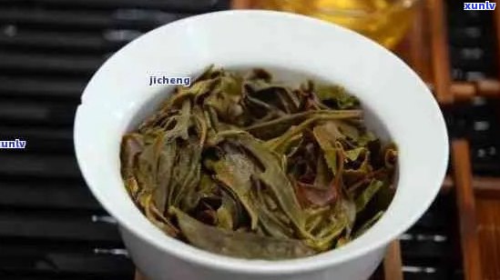 新采摘普洱茶的饮用安全性及潜在风险：一篇全面的分析