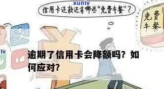 信用卡逾期还款日3天的影响：详细解析与应对策略