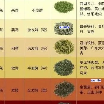 州哪里购买优质茶叶？全面指南解析茶叶店铺与品种