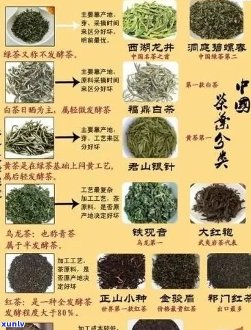 州产啥茶叶品种最多？