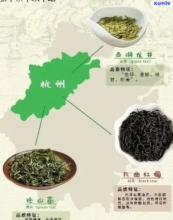 州产啥茶叶品种最多？