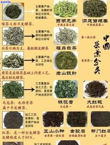 州产啥茶叶品种最多？