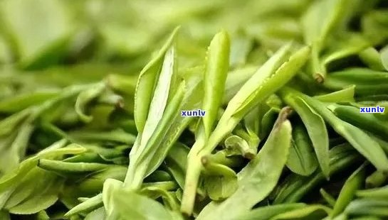 新 州特色茶叶：品味江南水乡的文化精髓与茶香