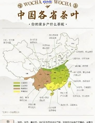 州最出名的茶叶及口感介绍