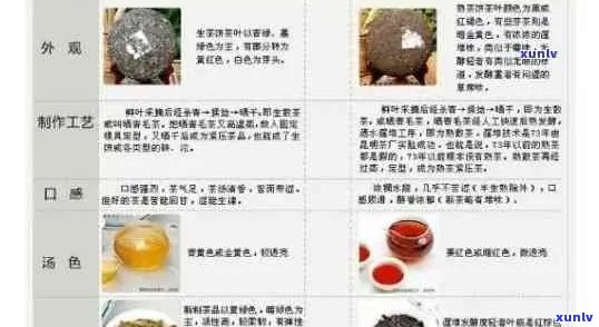 新 '龙浓缩普洱茶：品质、口感与价格的综合分析'