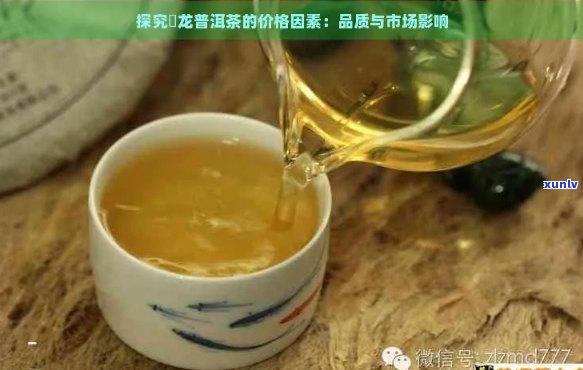 新 '龙浓缩普洱茶：品质、口感与价格的综合分析'