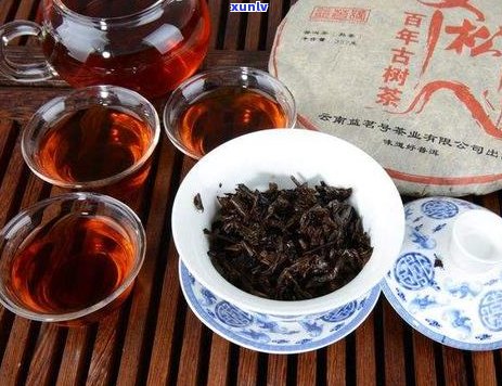 阳普洱茶：品种特点、功效、冲泡 *** 与品鉴技巧全面解析