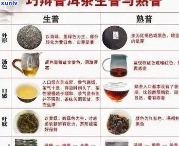 阳普洱茶：品种特点、功效、冲泡 *** 与品鉴技巧全面解析