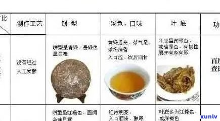 阳普洱茶：品种特点、功效、冲泡 *** 与品鉴技巧全面解析