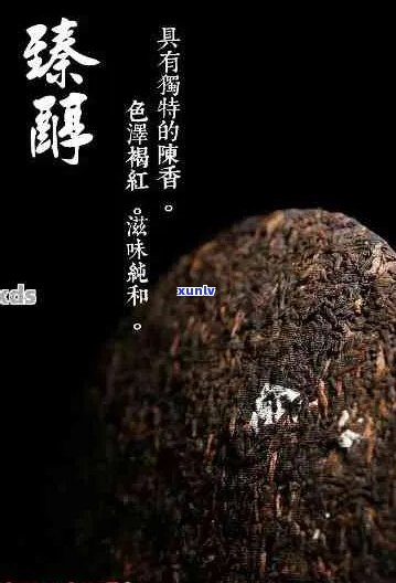 聘号普洱茶：独特风味、醇厚口感和显著健益处的综合体验