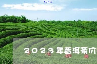 2023年普洱茶价格走势分析及市场解析 - 全面了解普洱茶价格变化及投资指南