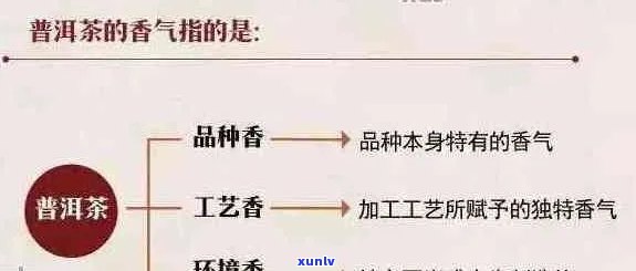 普洱茶的味：真相揭秘还是误解？探究其成因与品质关系