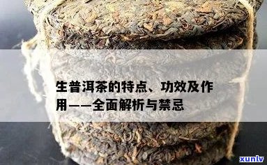 生普洱茶的主要功效、作用与禁忌，以及其副作用和注意事项