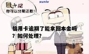 信用卡逾期申请本金打折吗？如何处理？