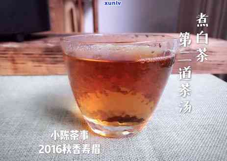 煮普洱茶的比例：一次应多少克茶叶？探究煮茶的科学指南