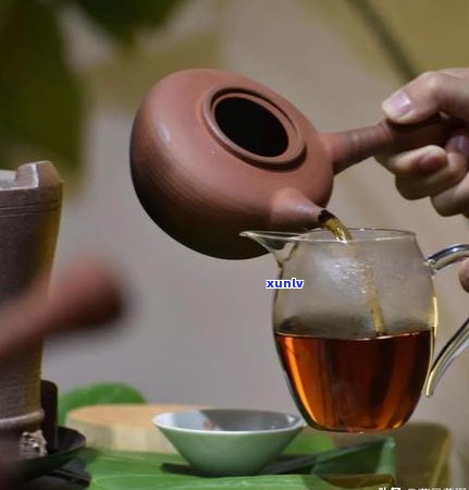 煮普洱茶的比例：一次应多少克茶叶？探究煮茶的科学指南