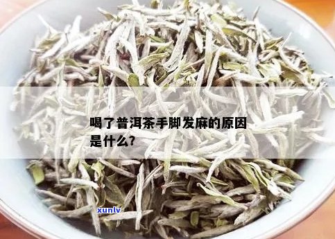 为什么喝普洱茶手麻