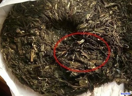 普洱茶可以太阳照吗有吗：关于普洱茶能否在阳光下暴晒及是否有的问题。