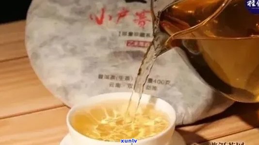 小户赛普洱茶怎么样：档次、特点、属于什么茶，口感和价格