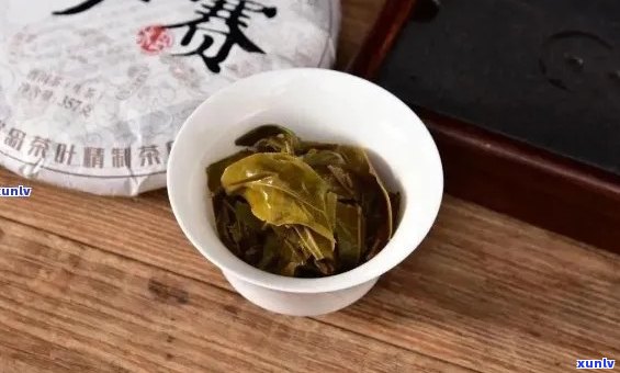 小户赛茶：生普与熟普的区别及适用场景解析