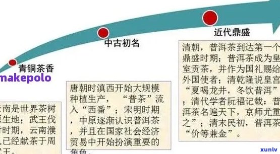 思鸿普洱茶：品茗体验、历渊源与功效解析，一篇全面解惑