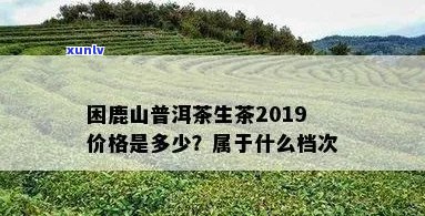 困鹿山普洱茶什么档次？高品质还是普通货色？