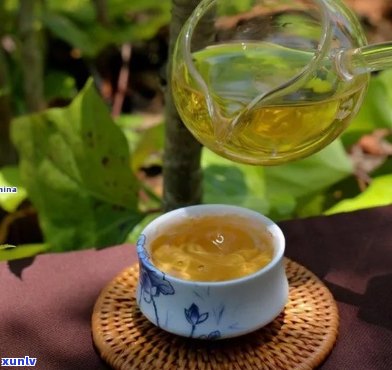 新 '探索困鹿山普洱茶的独特香型，了解其与哪些因素相关'