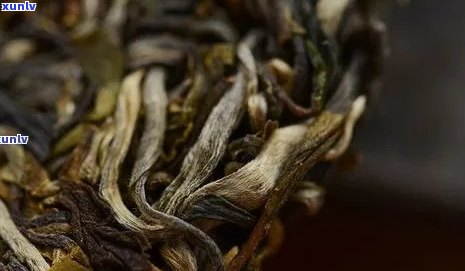 新 '探索困鹿山普洱茶的独特香型，了解其与哪些因素相关'