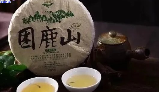 新 '探索困鹿山普洱茶的独特香型，了解其与哪些因素相关'