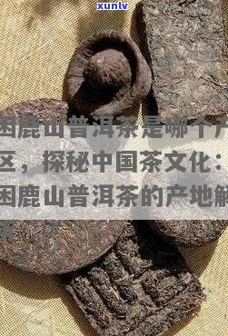 困鹿山普洱茶：产区、品质及泡法的全方位解析