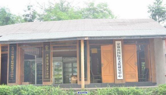 四川新型普洱茶排行榜：名山古树、工艺精、口感独特、收藏价值高